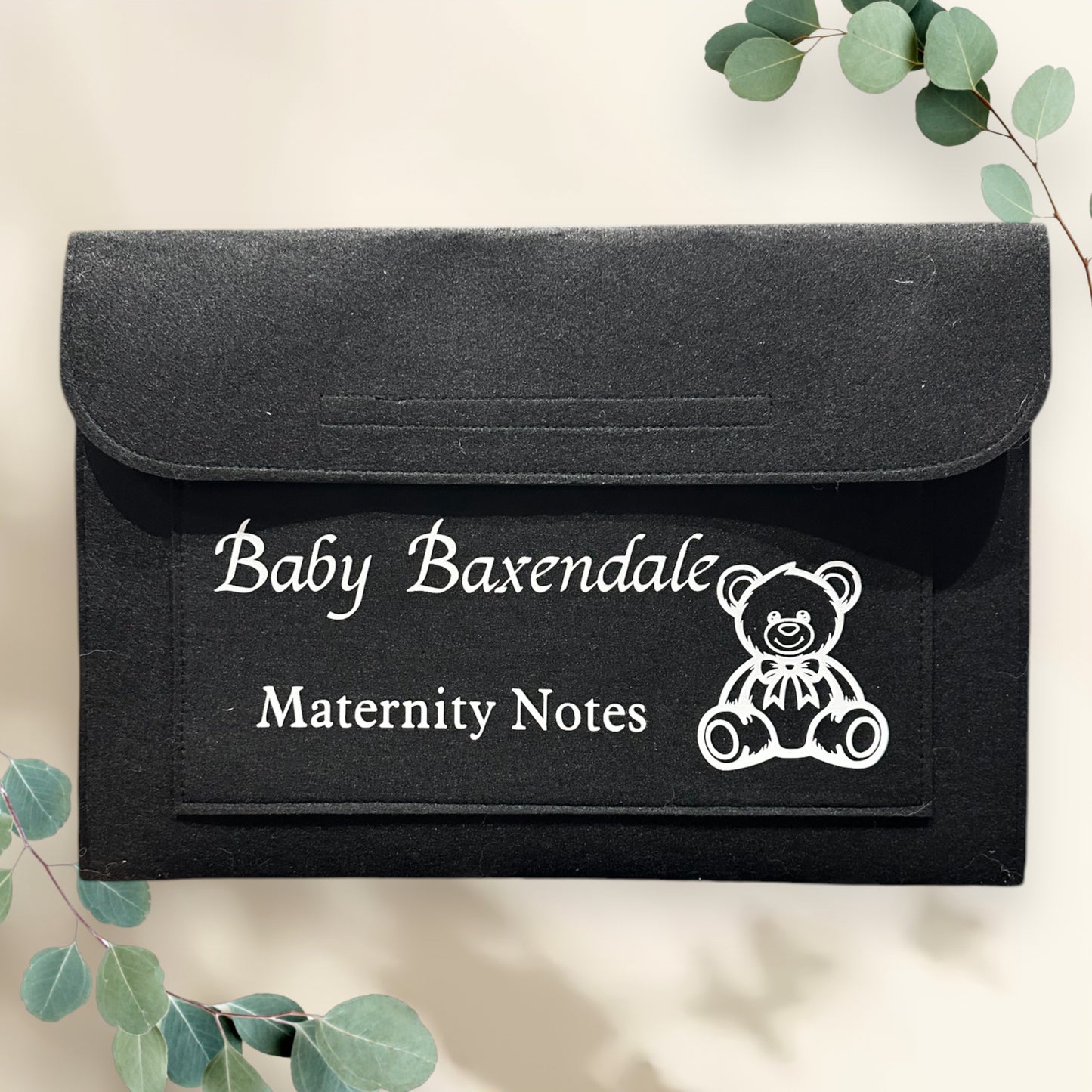 Maternity Notes & Baby Red Book Folder