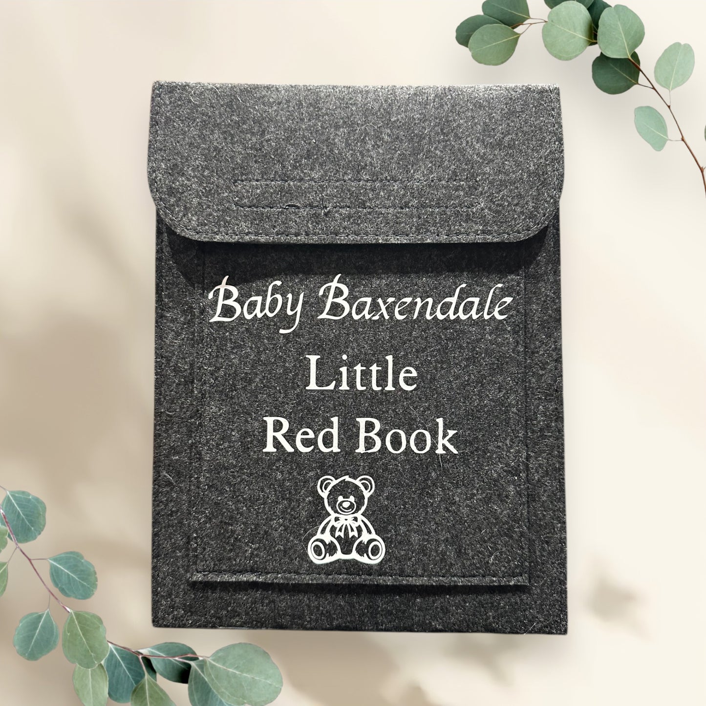 Maternity Notes & Baby Red Book Folder